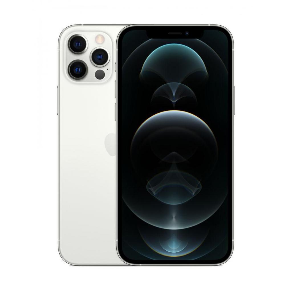 iPhone 12 Pro Max 256GB B Silver